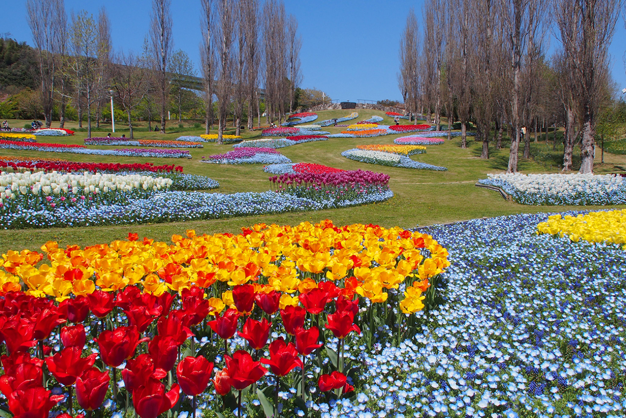 国営明石海峡公園