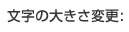 文字の大きさ変更: